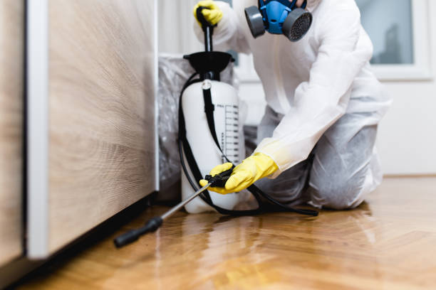 Trusted Bangor Base, WA Pest Control Experts