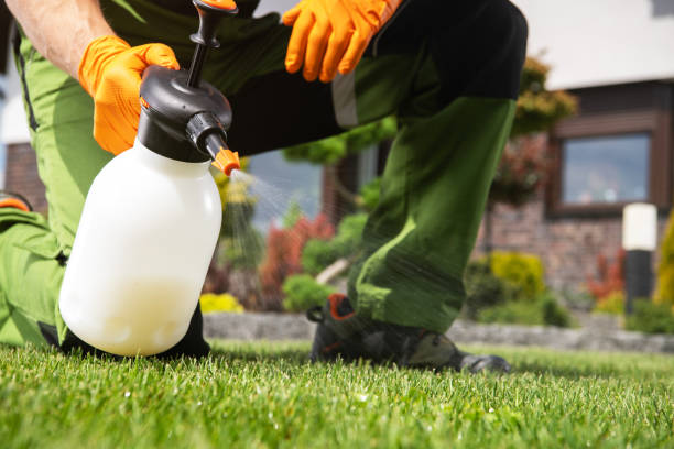Pest Control Cost in Bangor Base, WA