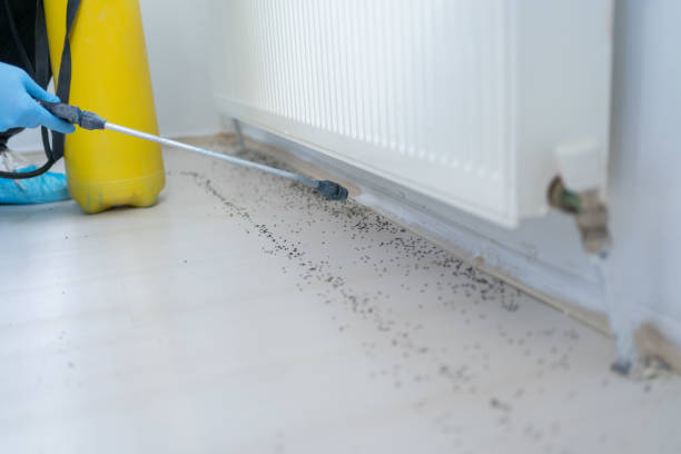 Best Emergency Pest Control  in Bangor Base, WA